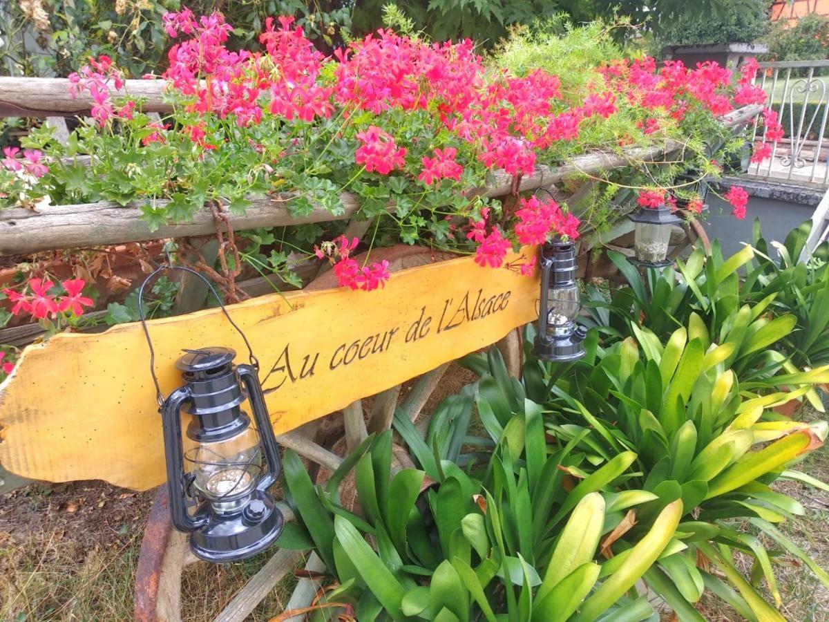 Au Coeur De L'alsace *